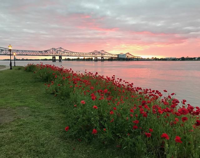 Riverboat Bed & Breakfast Natchez Ngoại thất bức ảnh